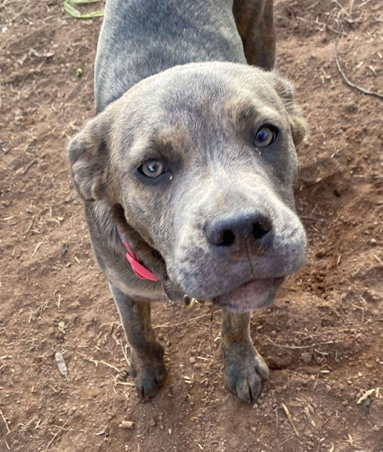 Ruby — thumbnail 3