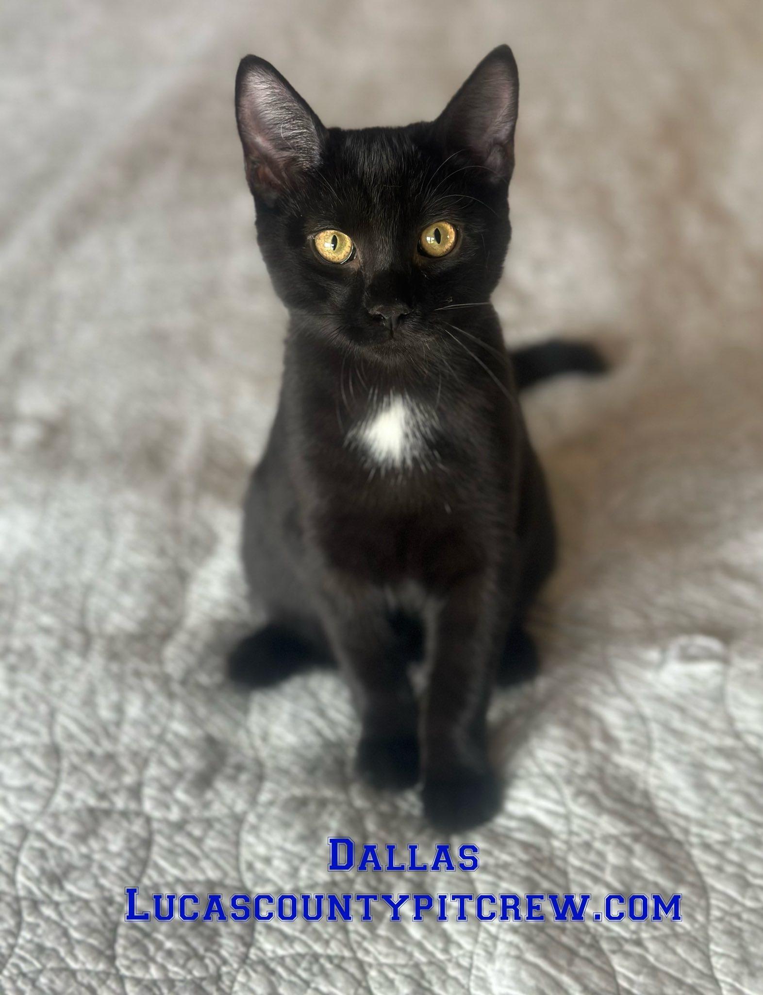 Dallas