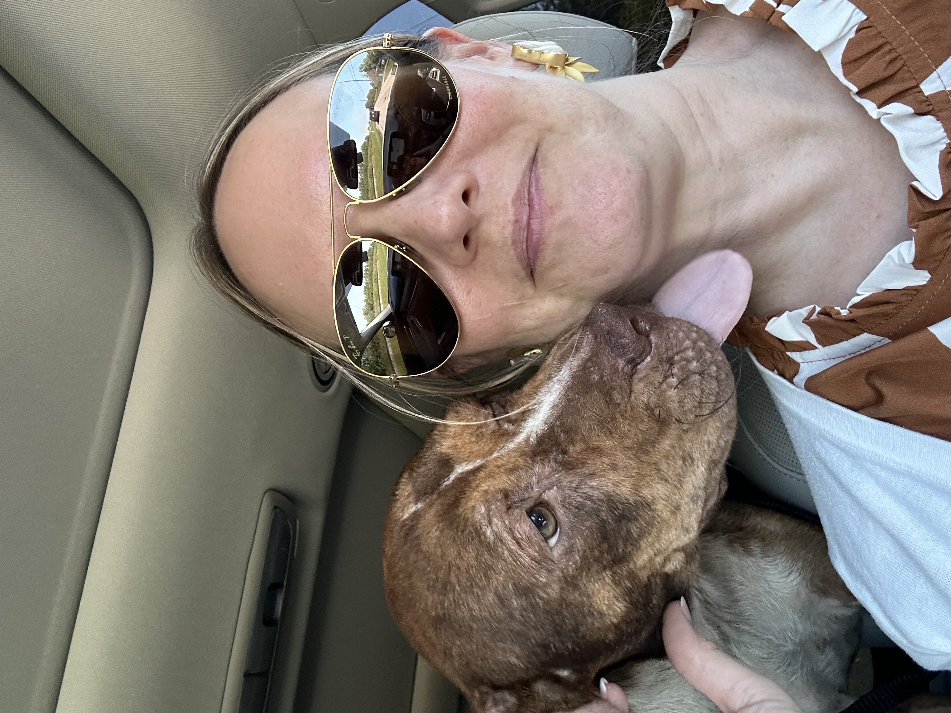 Enlarge Rose, a Adoptable mixed breed in Lufkin, TX image 3/6