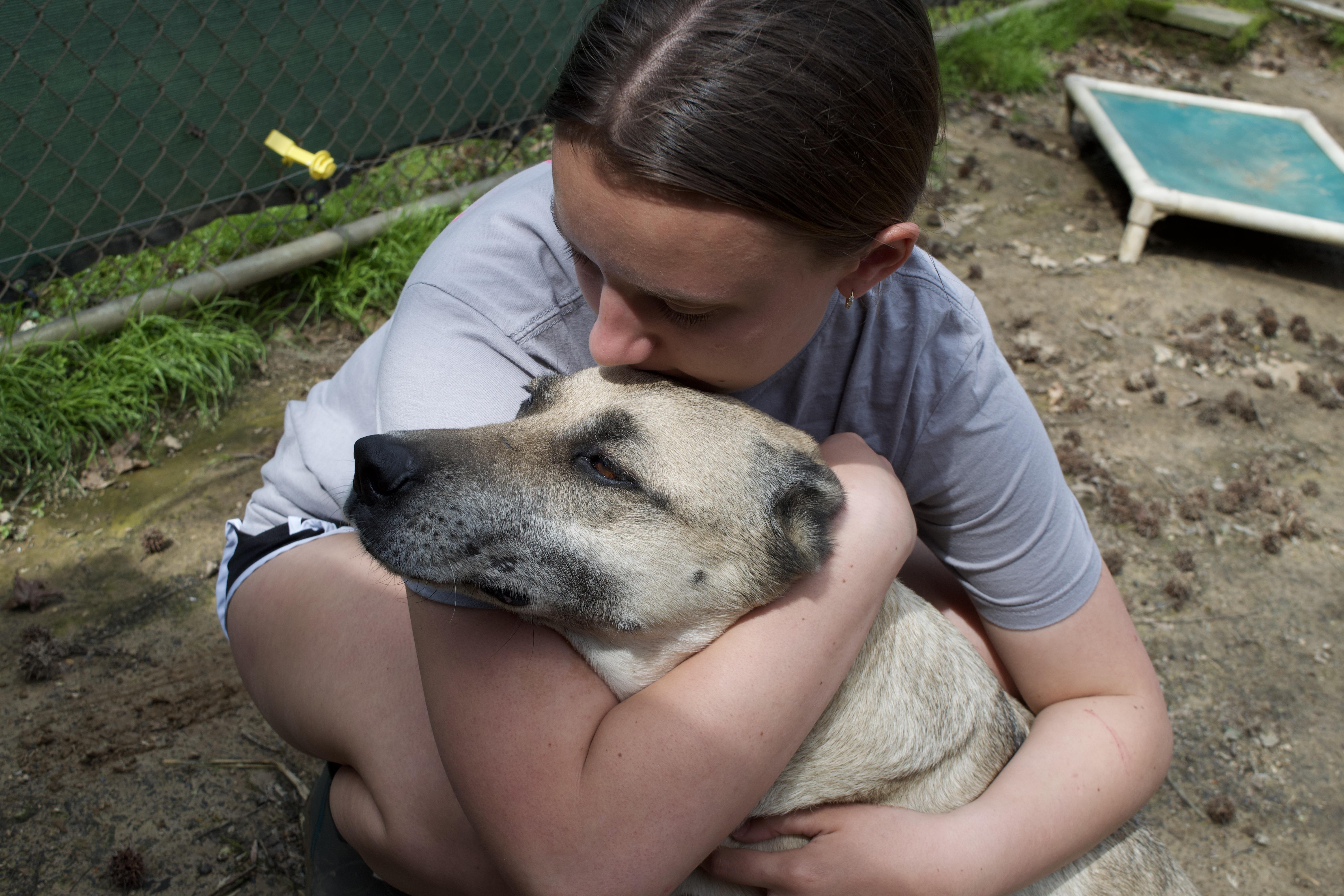Izzy, a Adoptable mixed breed in Rossville, TN image 5/6
