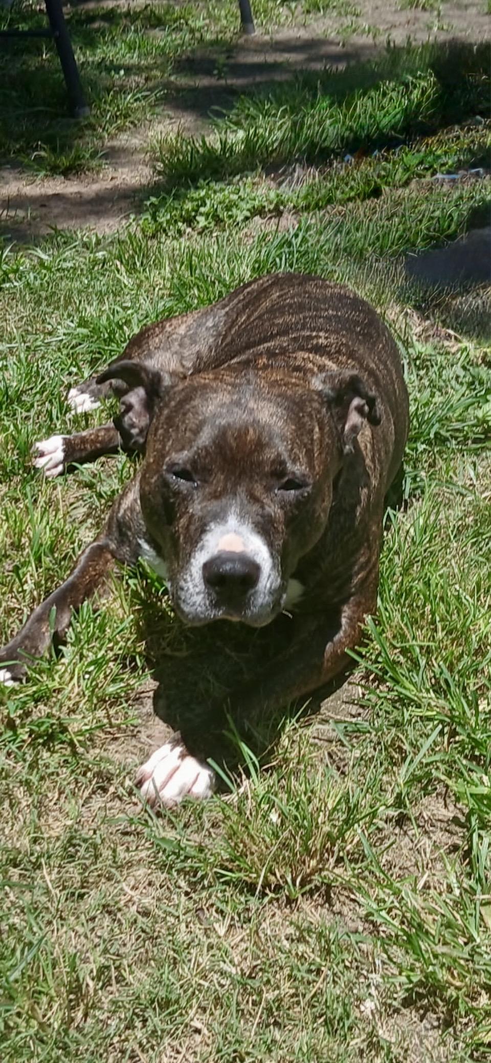 Jasmine — thumbnail 5