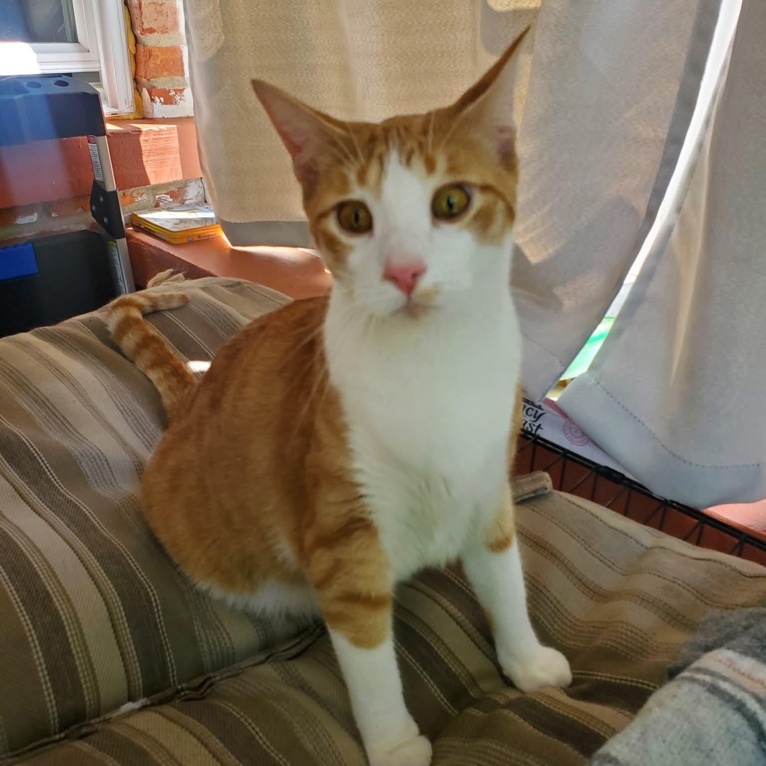 Danny