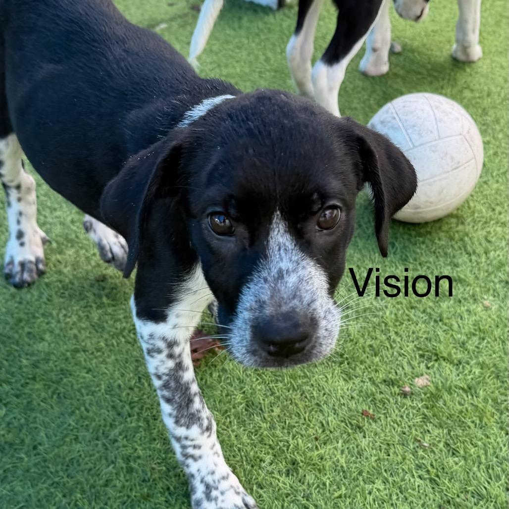 Vision photo