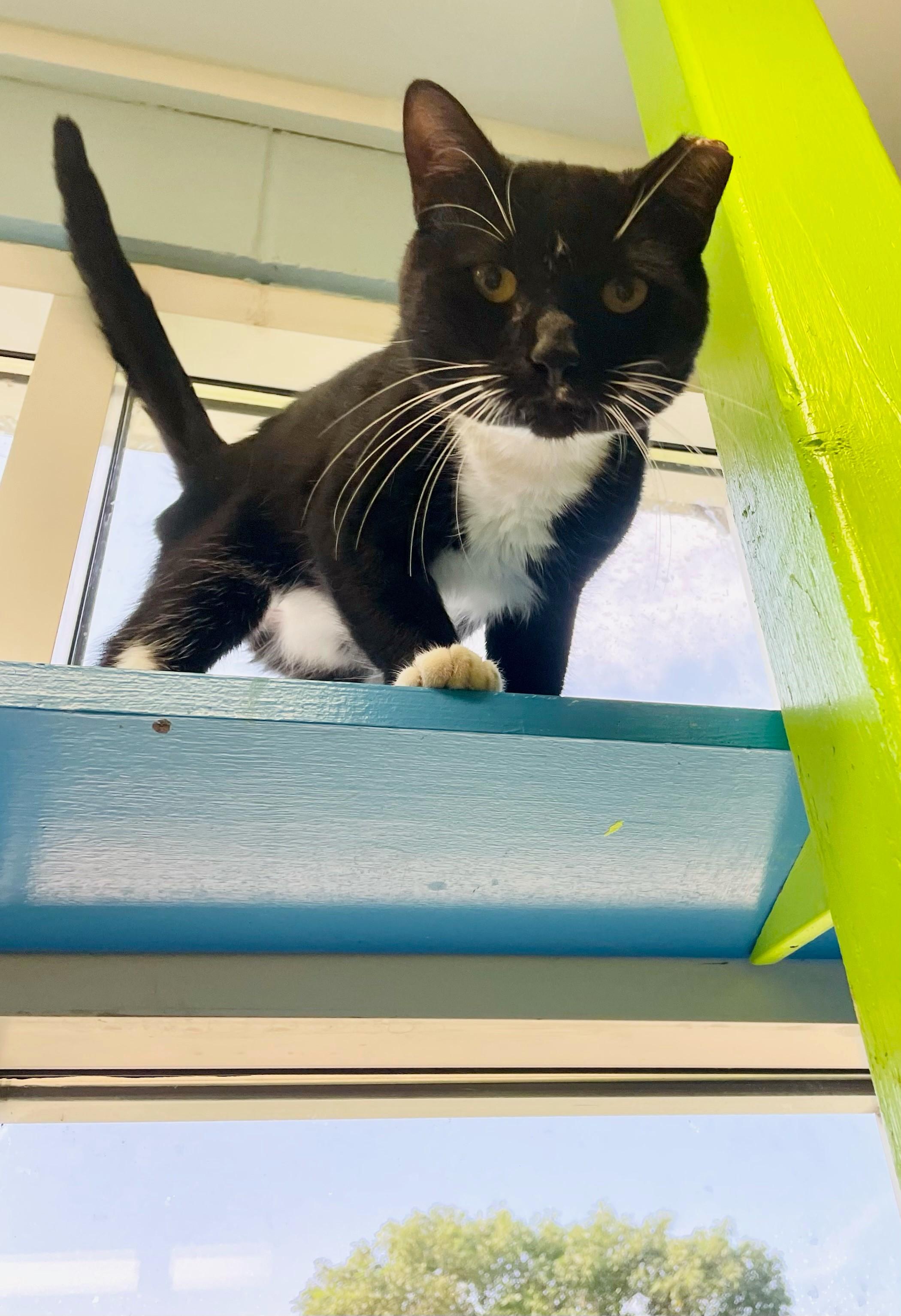 Max