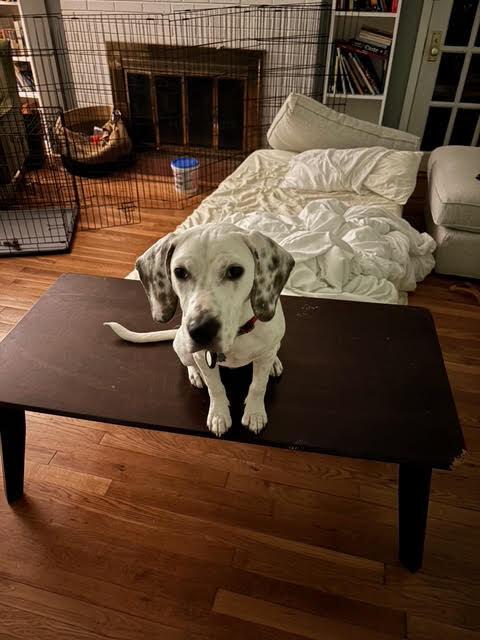 Patterson thumbnail 3