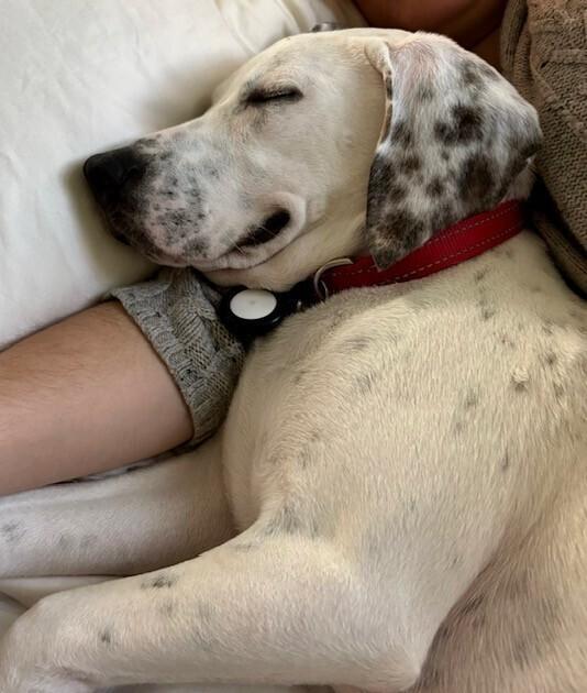 Patterson thumbnail 4