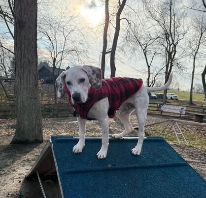 Patterson thumbnail 7