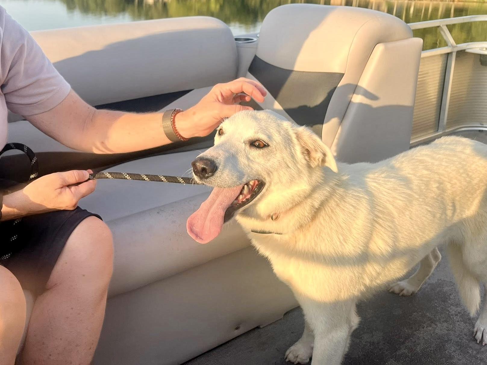 Nettie — thumbnail 4