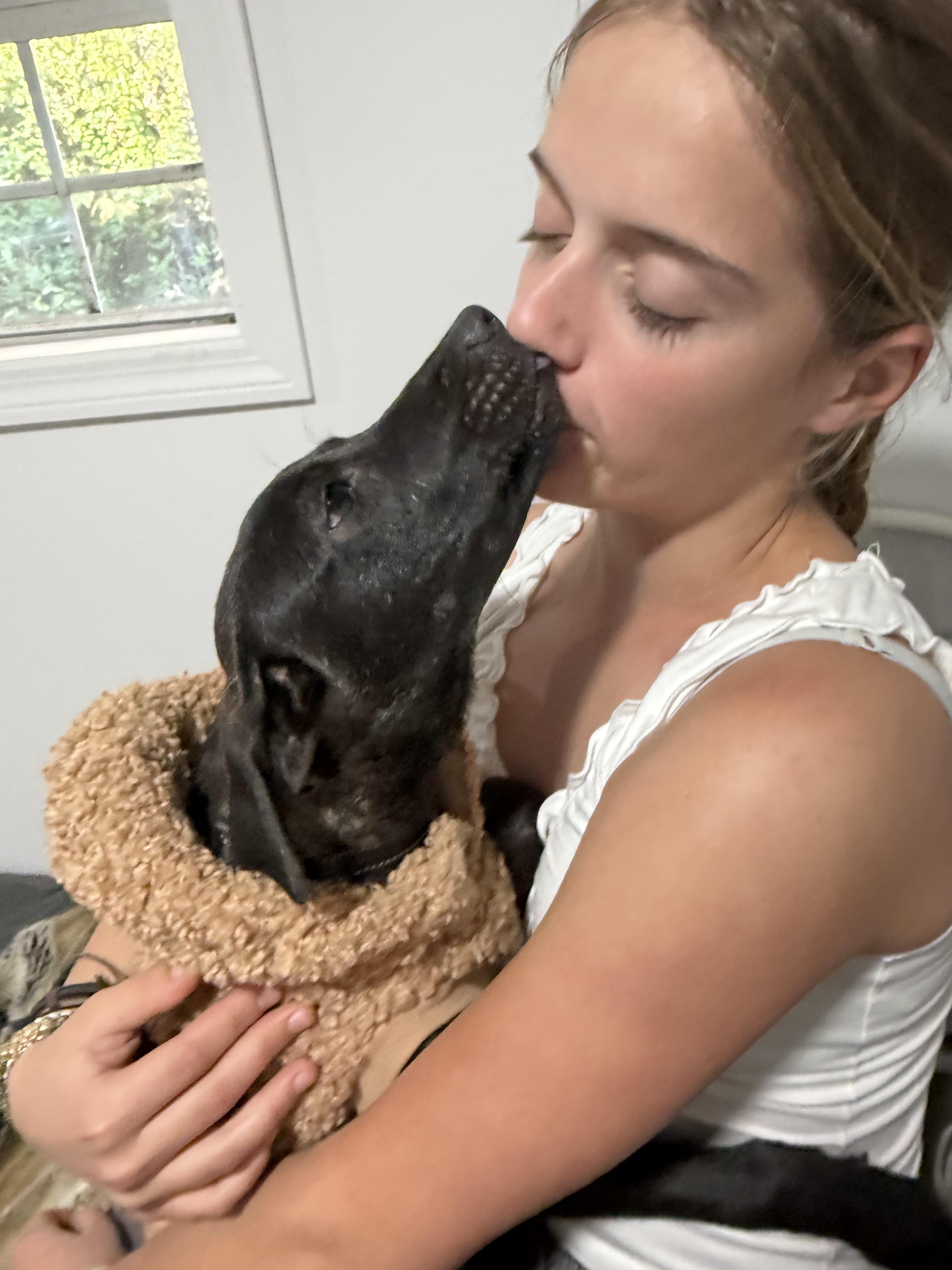 Enlarge Jade, an adopted mixed breed in Ridgefield, CT image 5/6