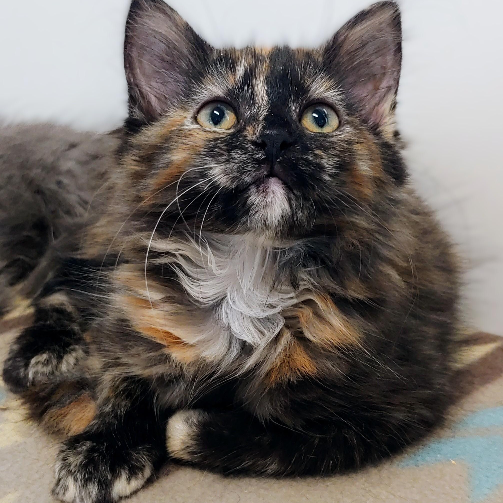 Matilda