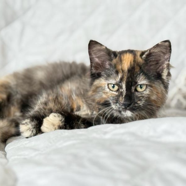 Matilda