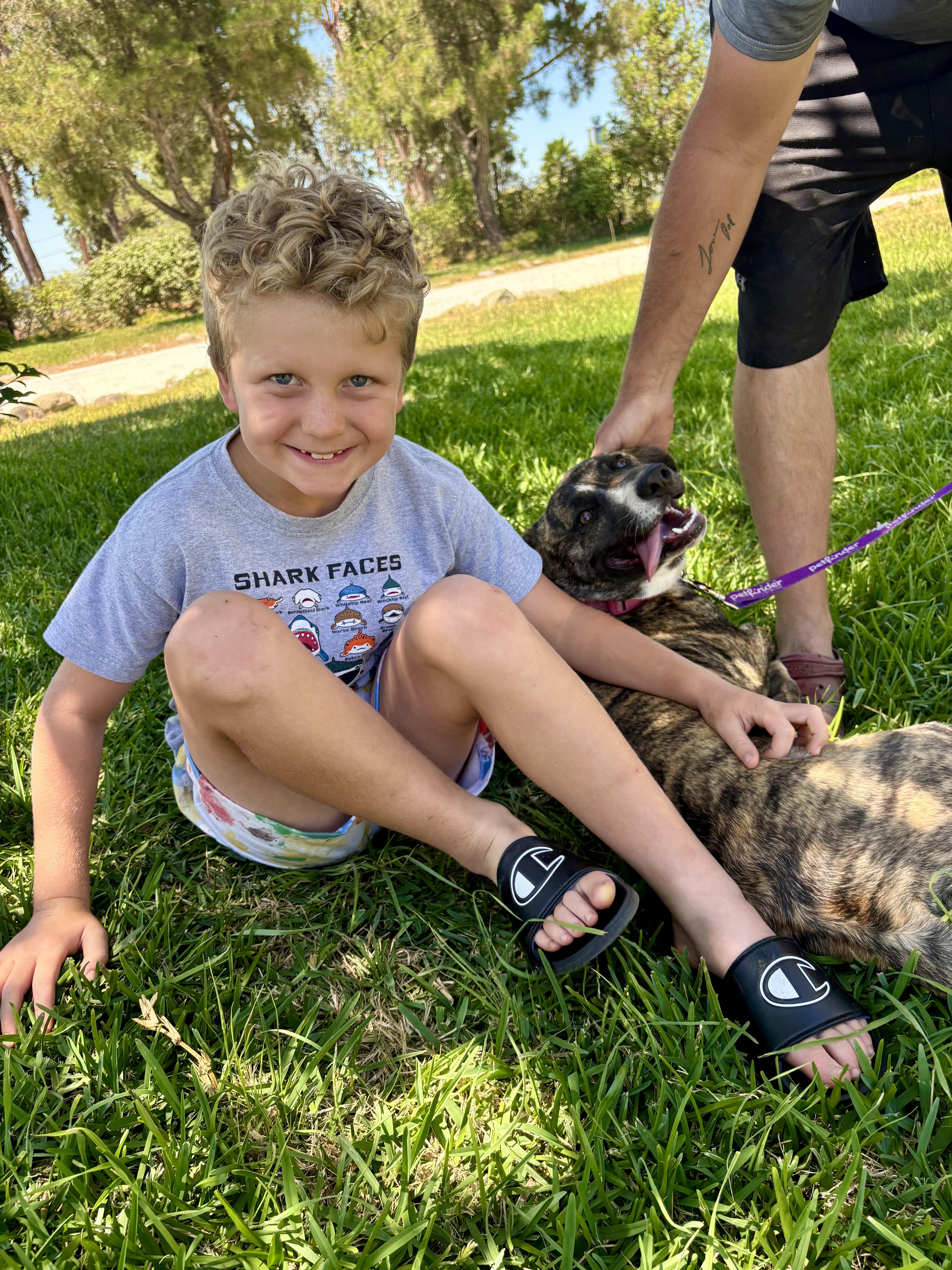 Enlarge Marie, an adopted mixed breed in Hollister, CA image 4/5