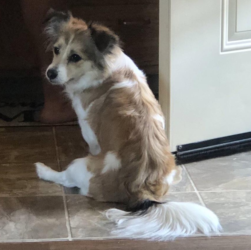 Urgent- Sochie