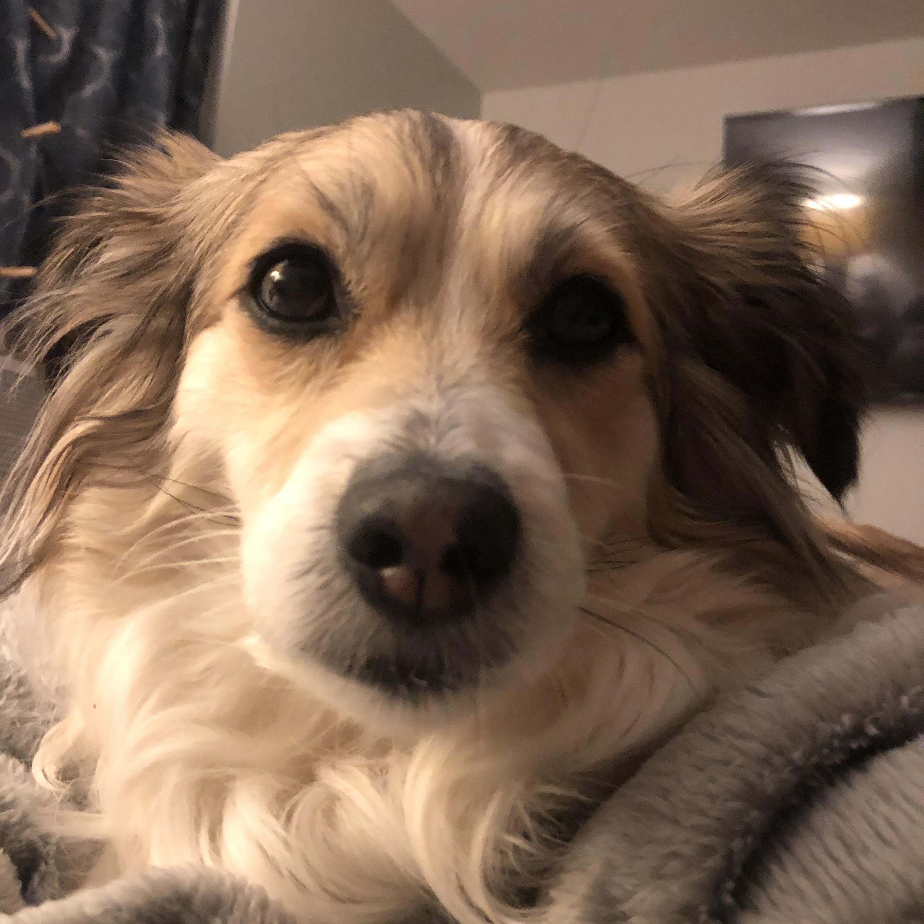 Urgent- Sochie thumbnail 2