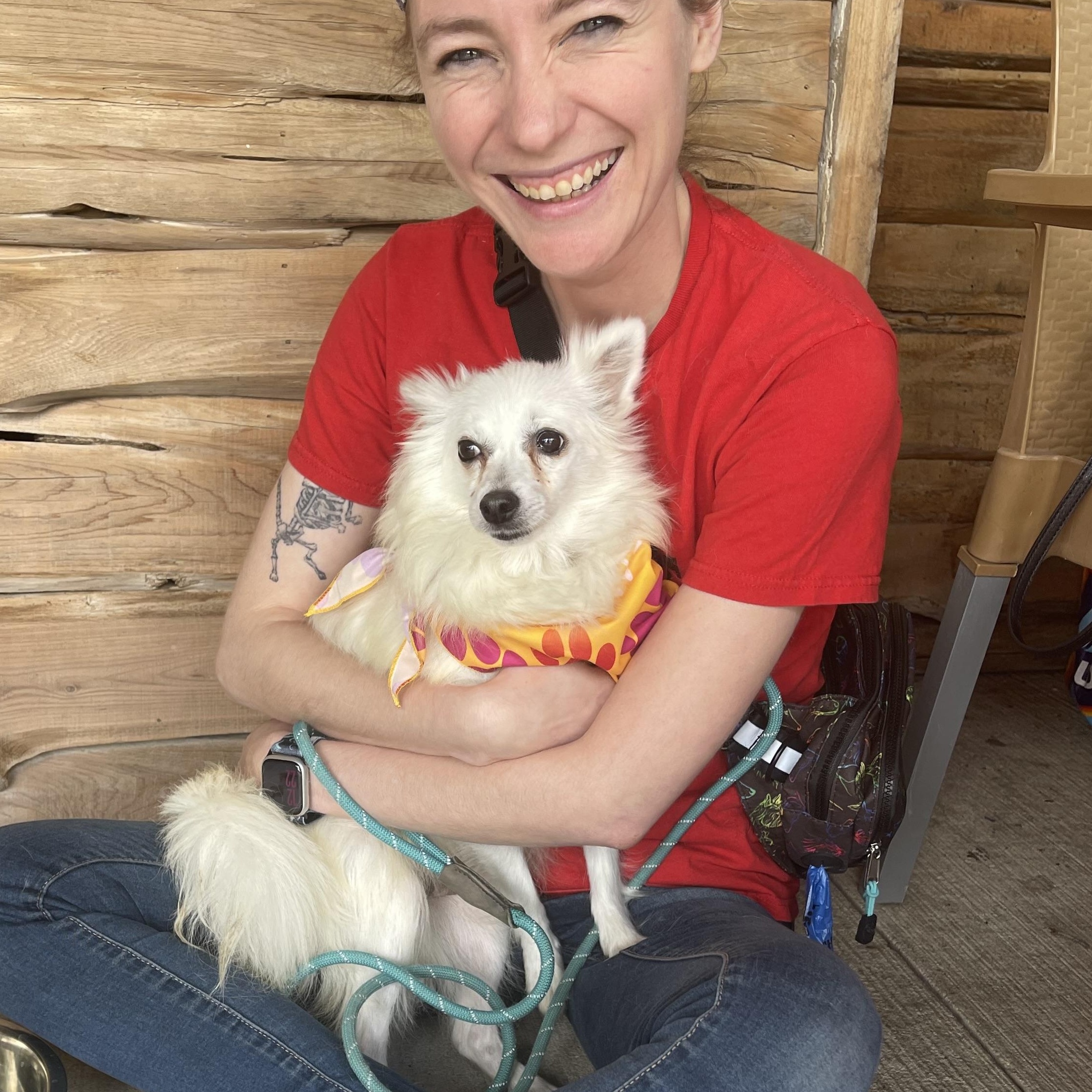 Amy in foster care, Adult Female American Eskimo Dog