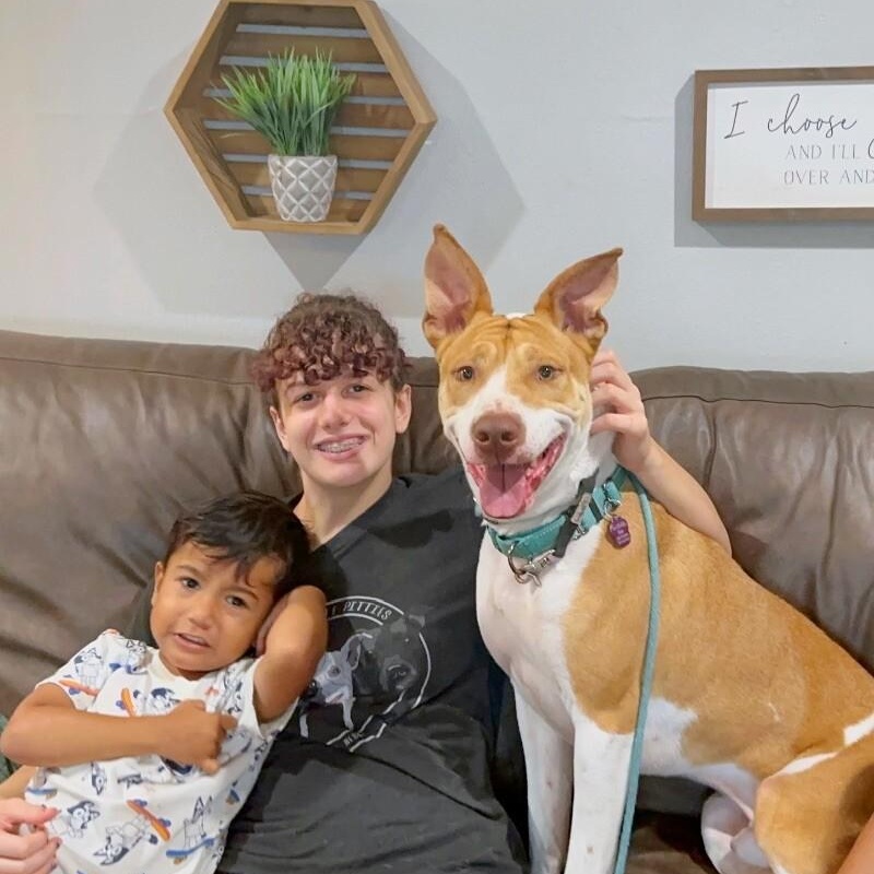 Thomas the Lover Boy — thumbnail 5