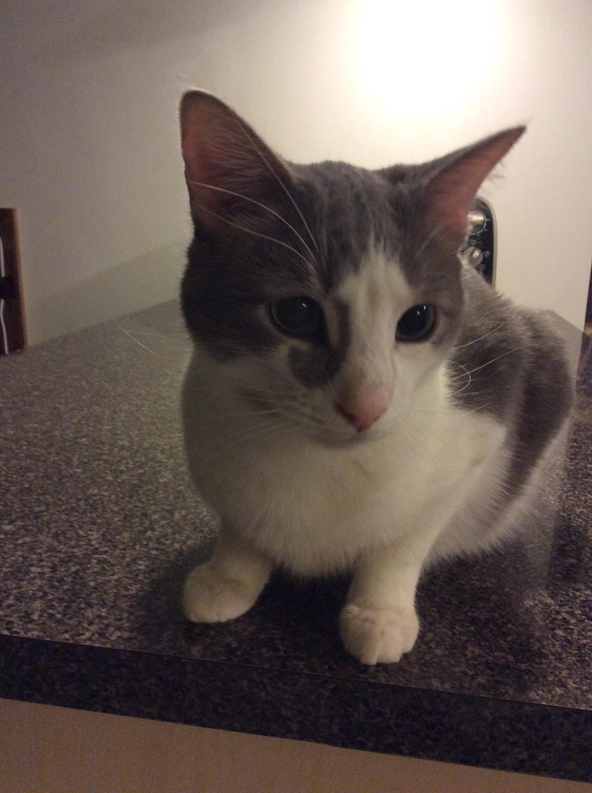Walter photo 3
