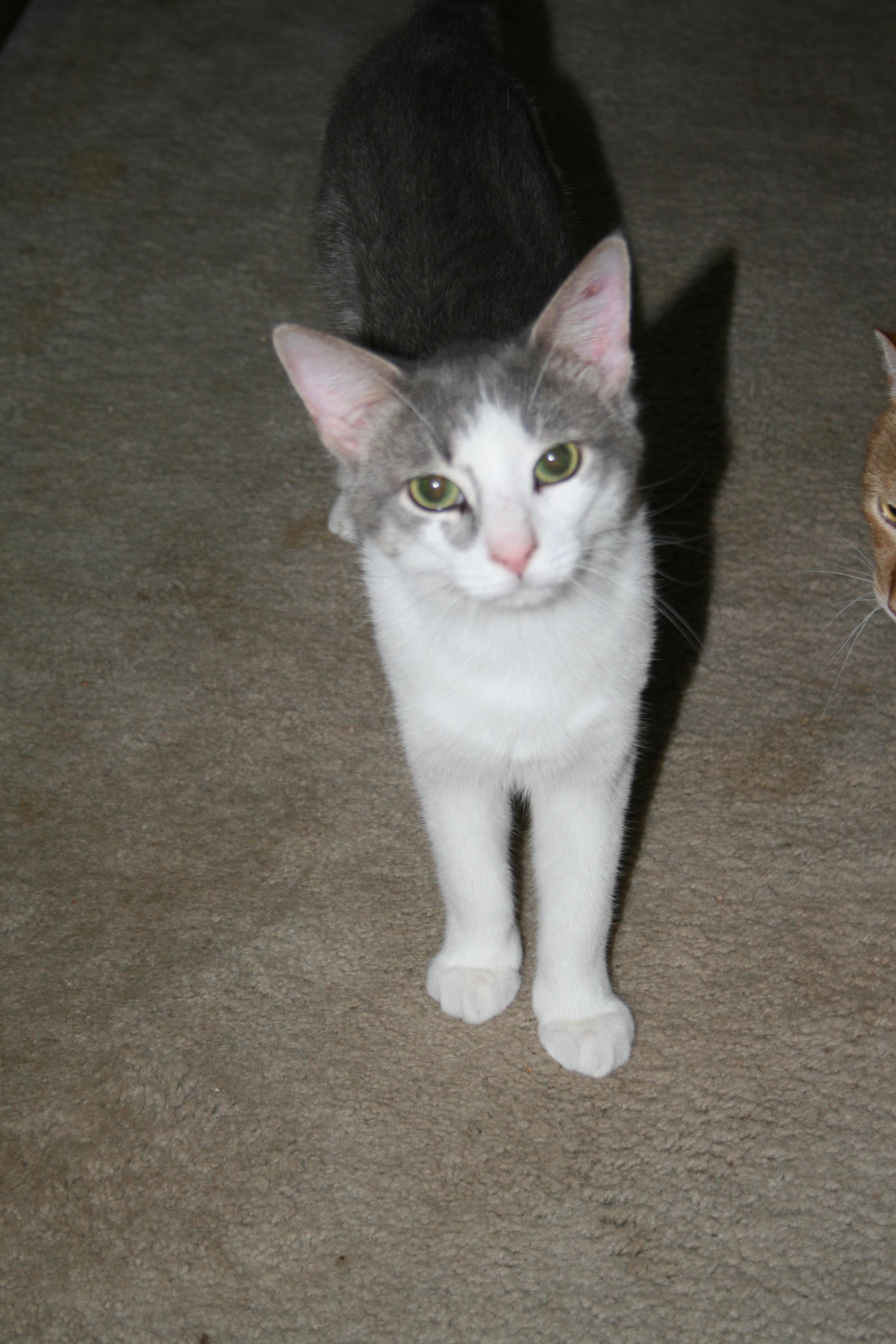Walter photo 2