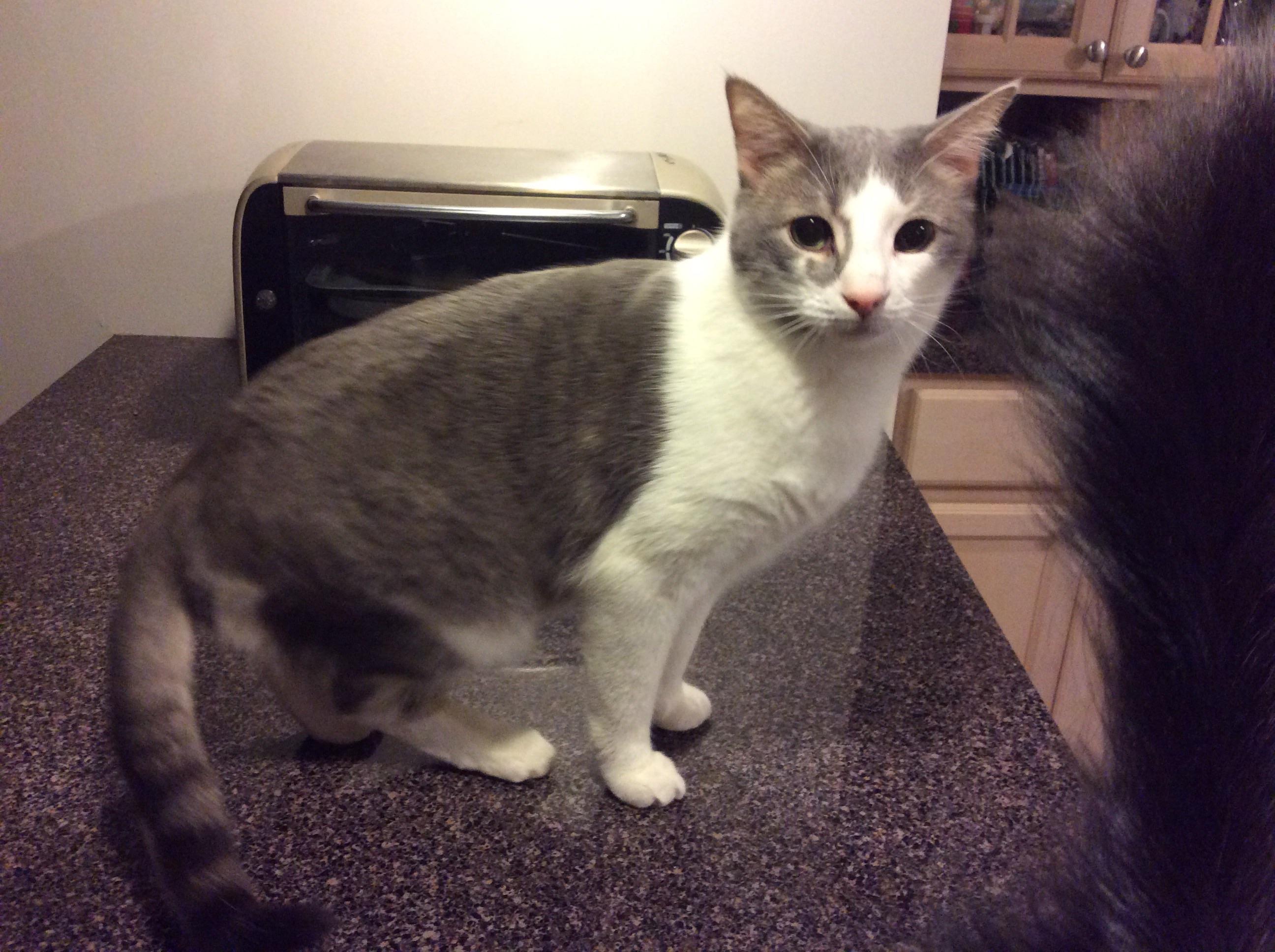 Walter photo 1