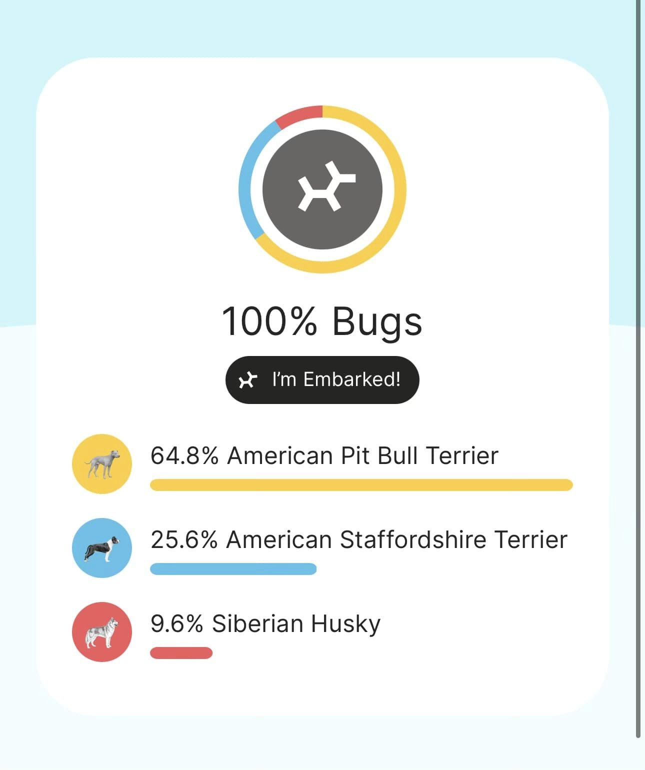 Bugs, a Adopted mixed breed in west creek, NJ image 3/5