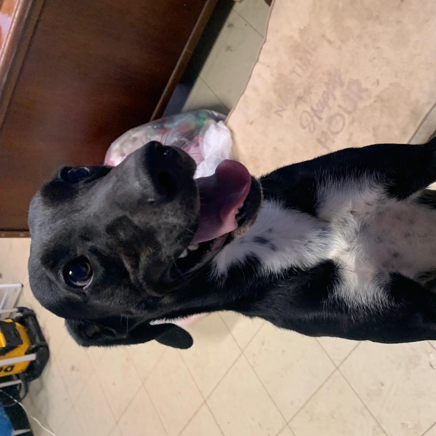 Daisy May thumbnail 3