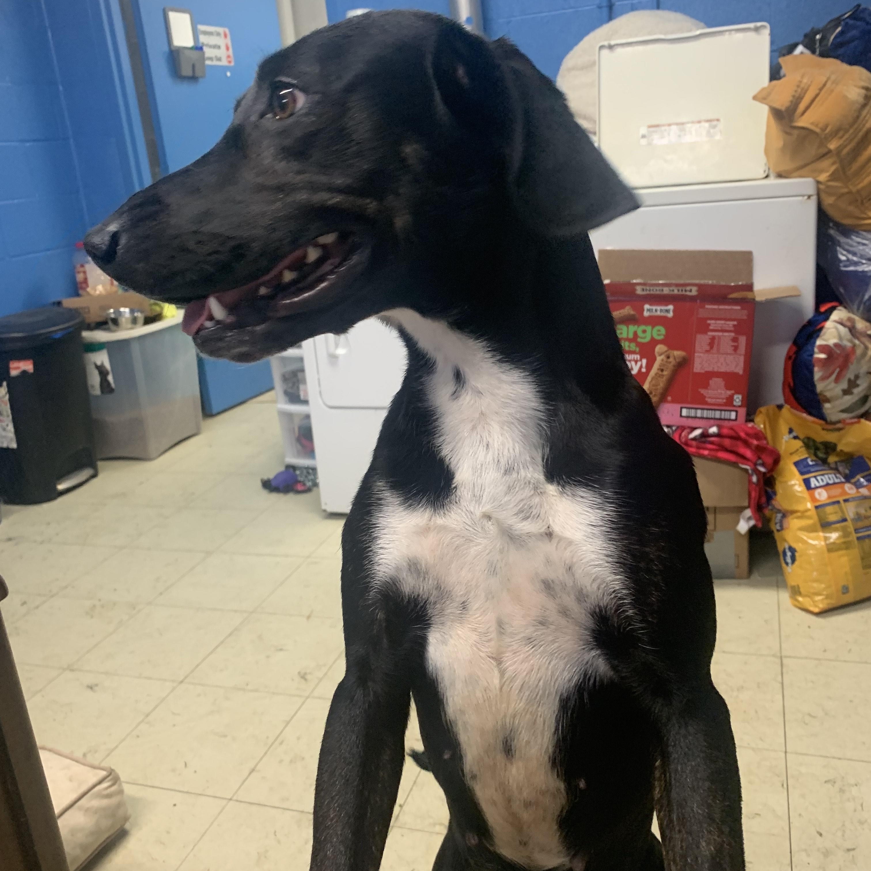 Daisy May thumbnail 4