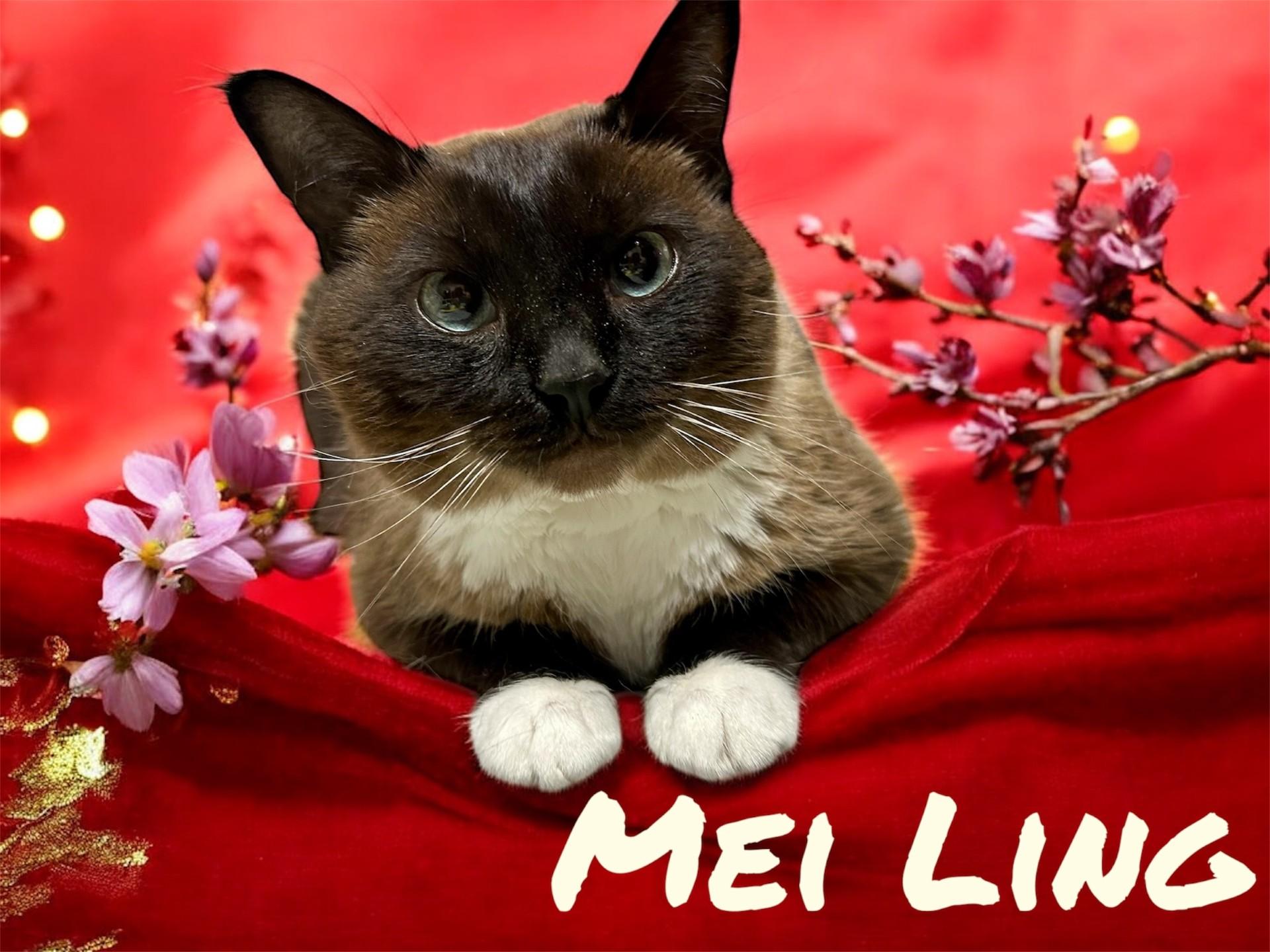 Mei Ling