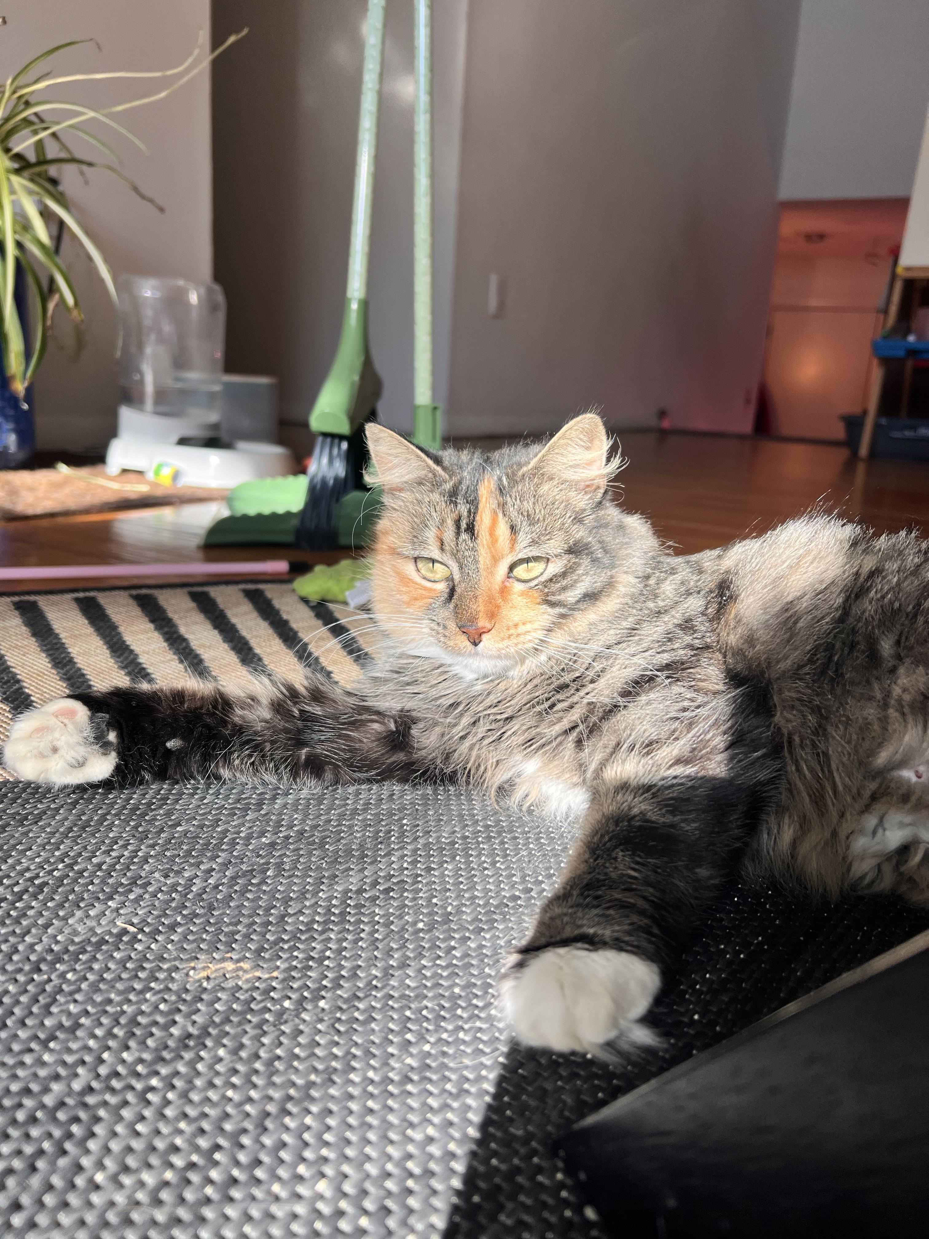 Peach — thumbnail 2