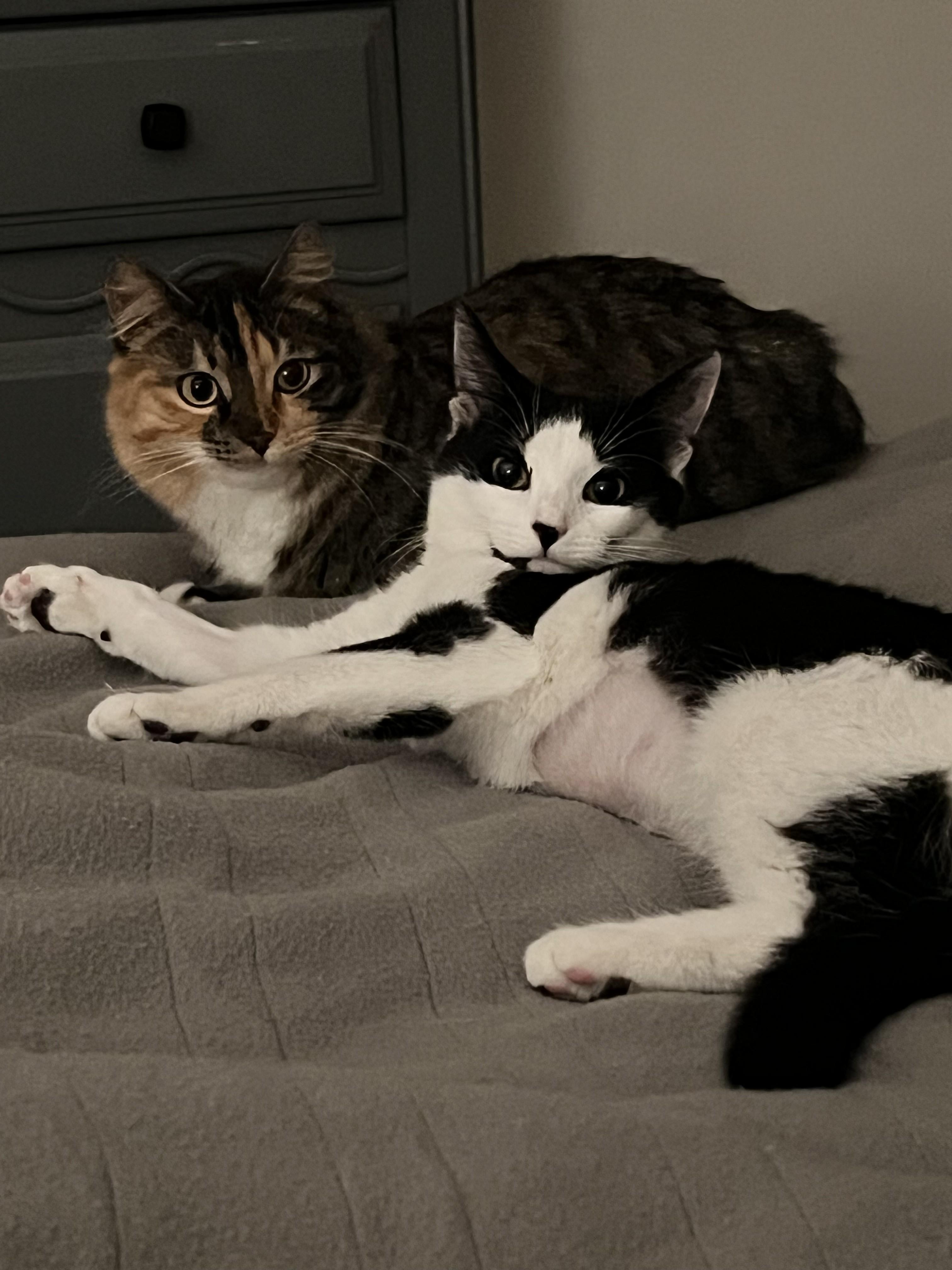 Peach — thumbnail 4