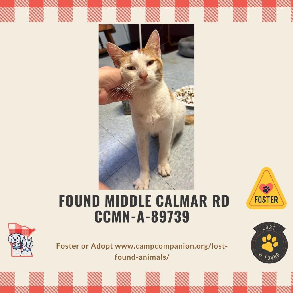 Roadie — thumbnail 3