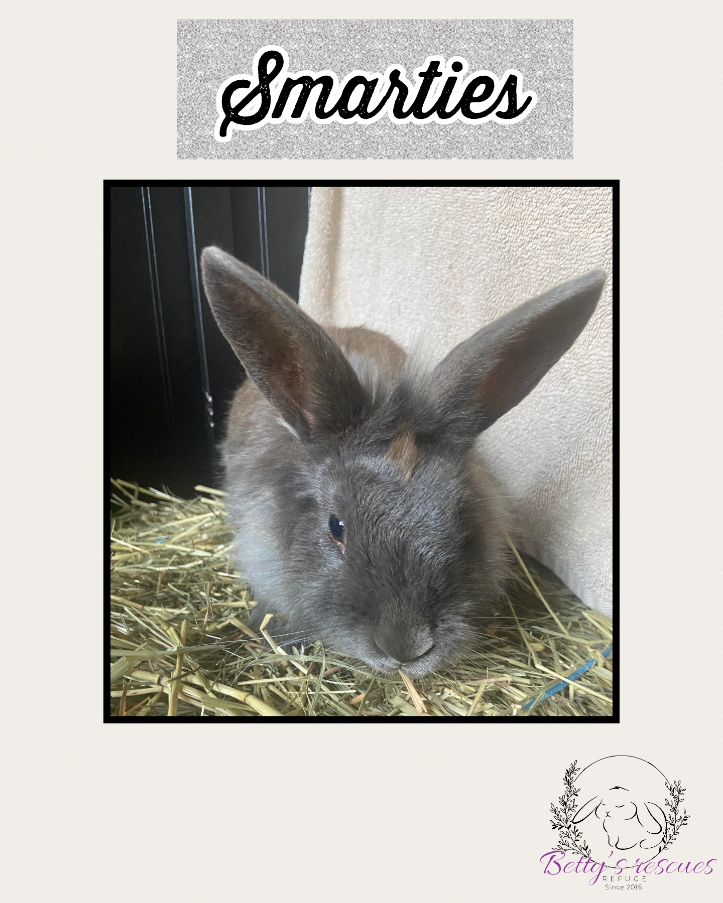 Smarties, Adult Female unknown