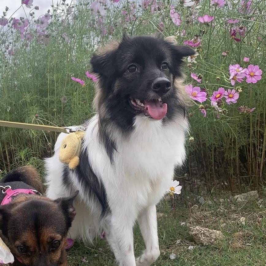 Mon Cherie thumbnail 4