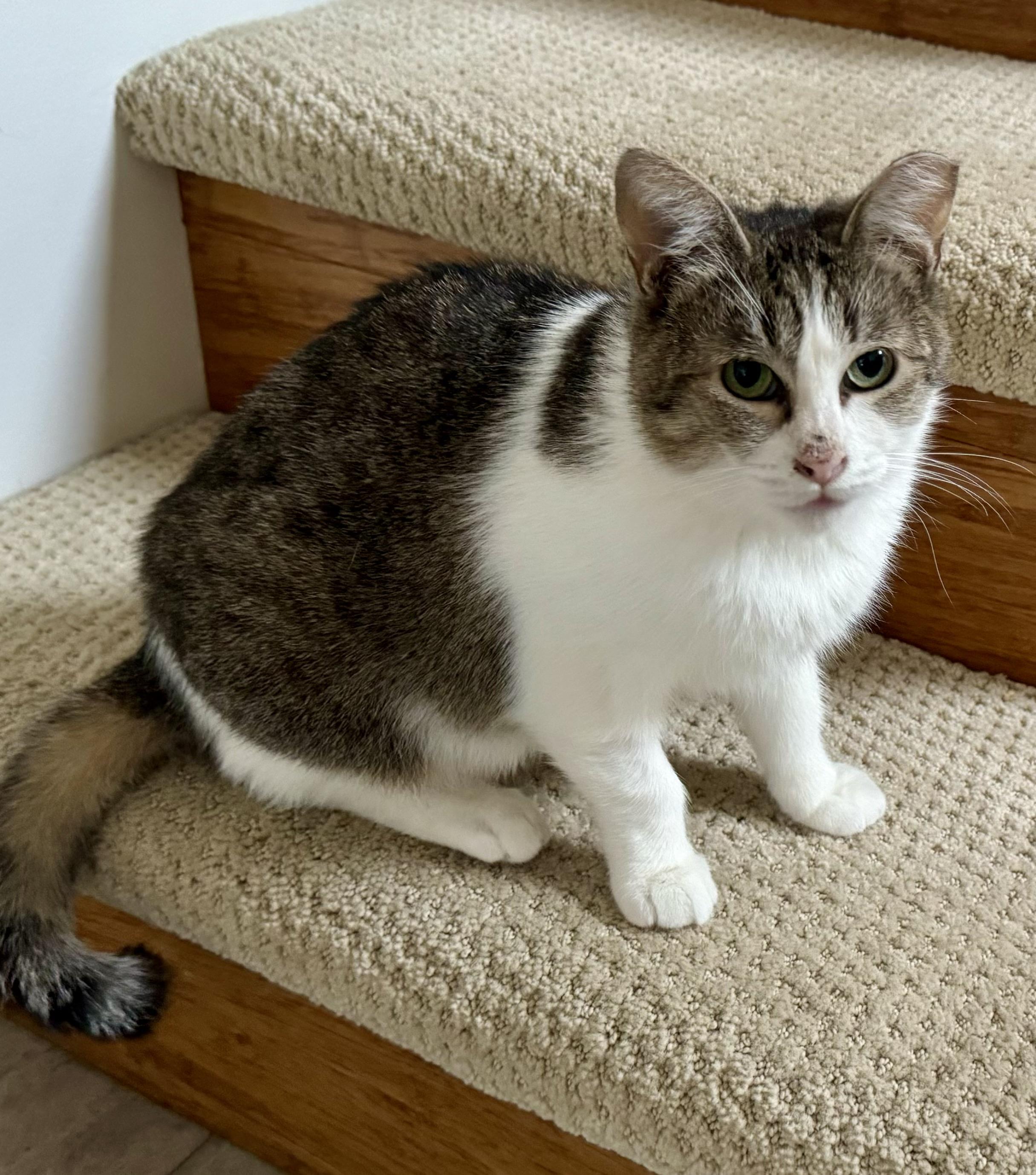 Kiki photo 3