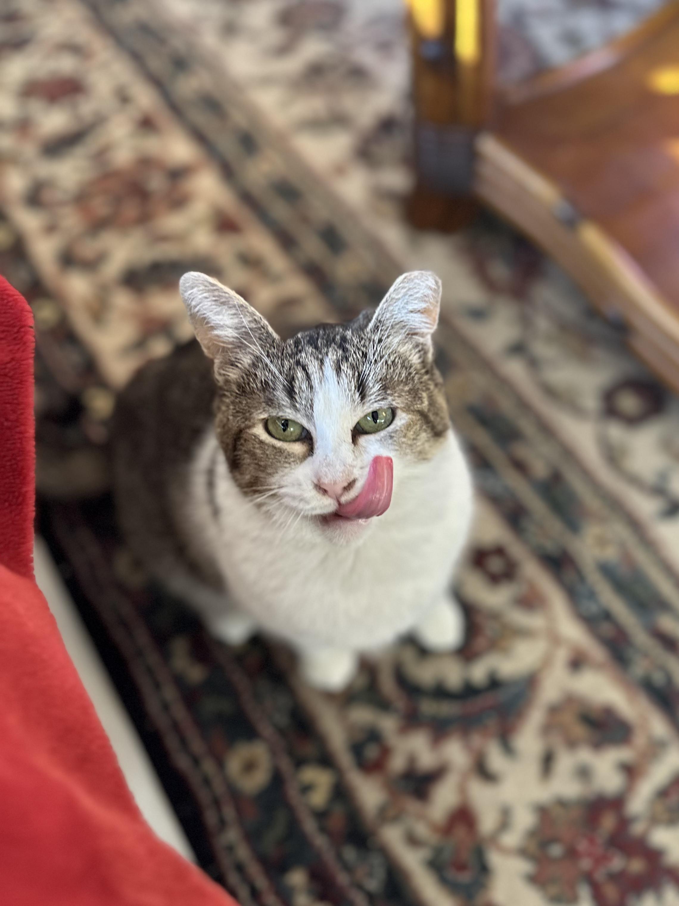 Kiki photo 2