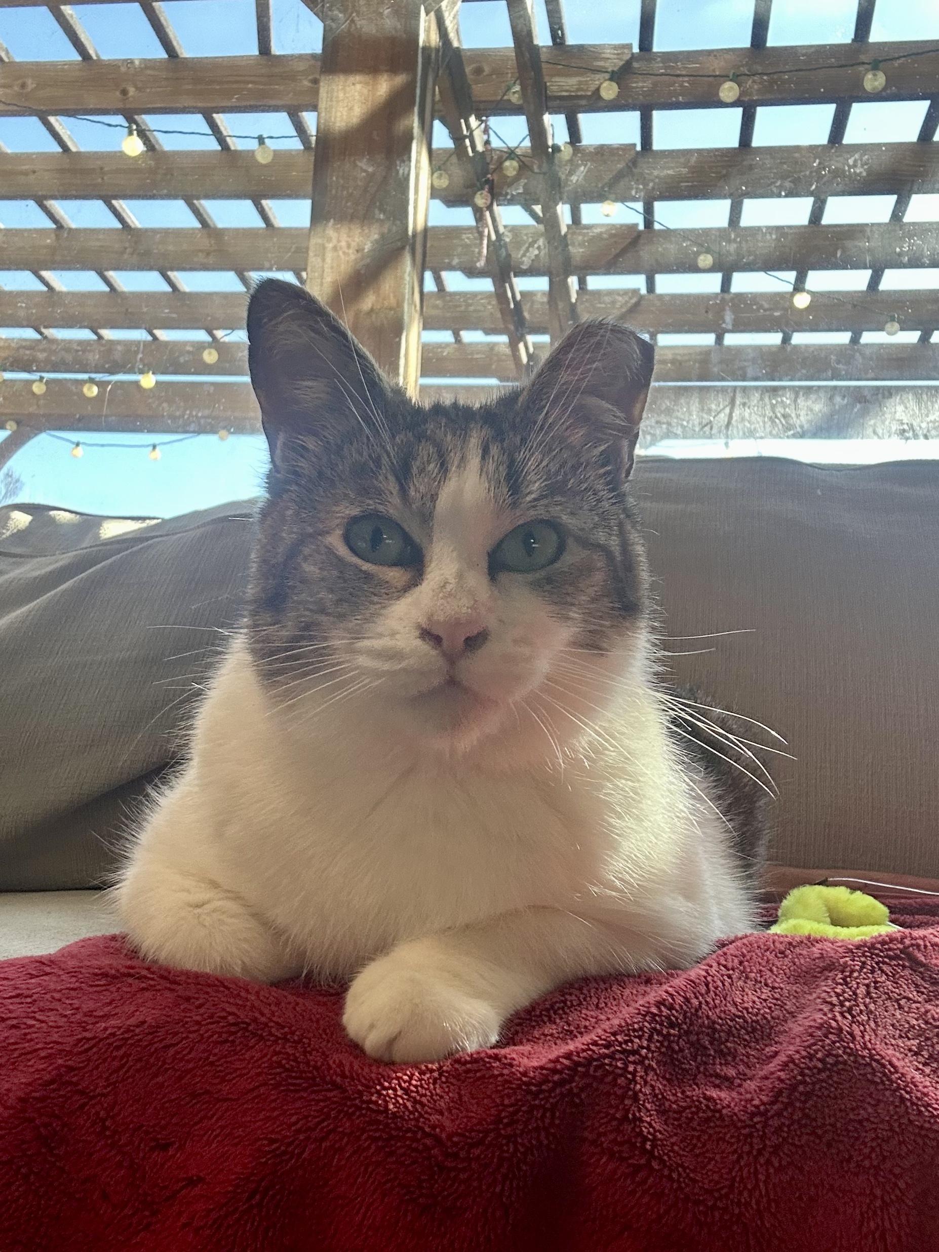 Kiki photo 4