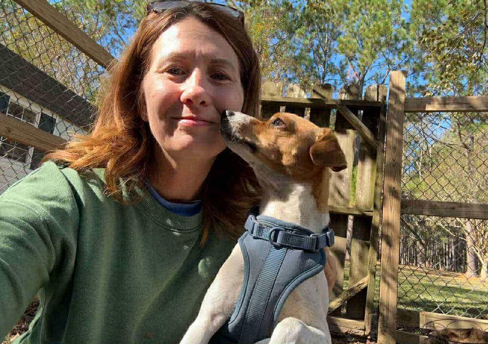 Enlarge Buzz & Woody, a Adoptable Jack Russell Terrier in Gillsville, GA image 1/6
