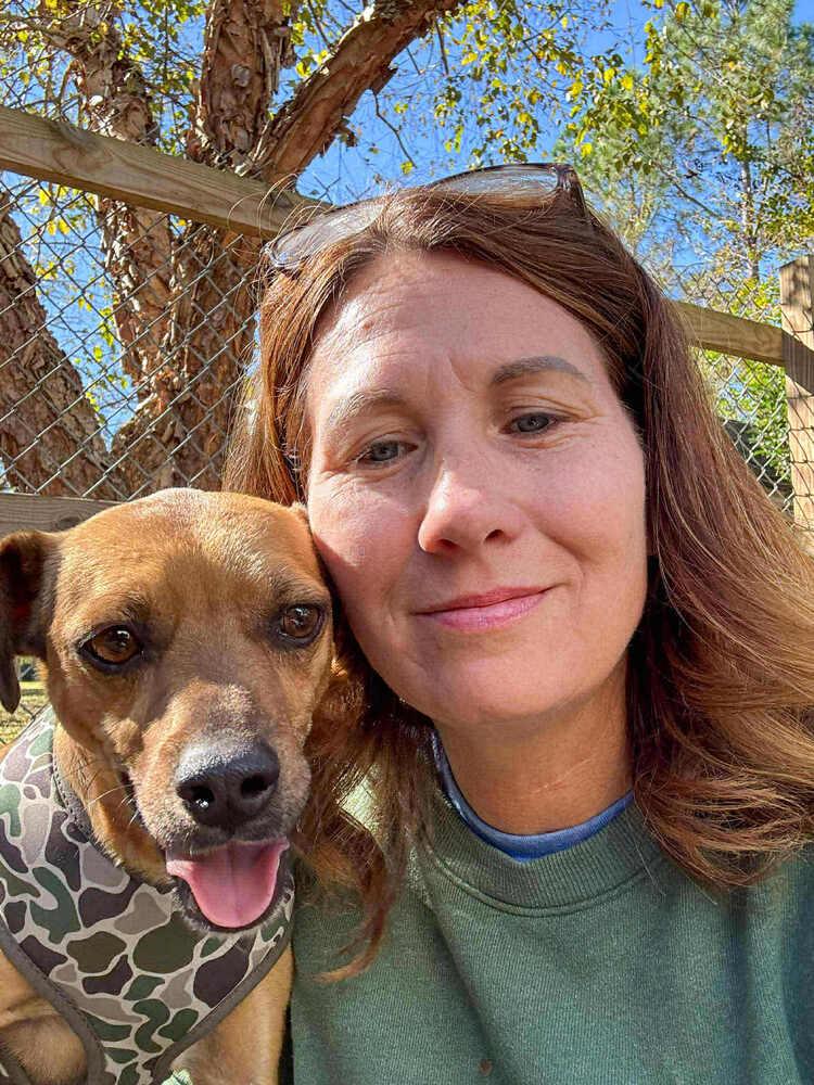 Enlarge Buzz & Woody, a Adoptable Jack Russell Terrier in Gillsville, GA image 3/6