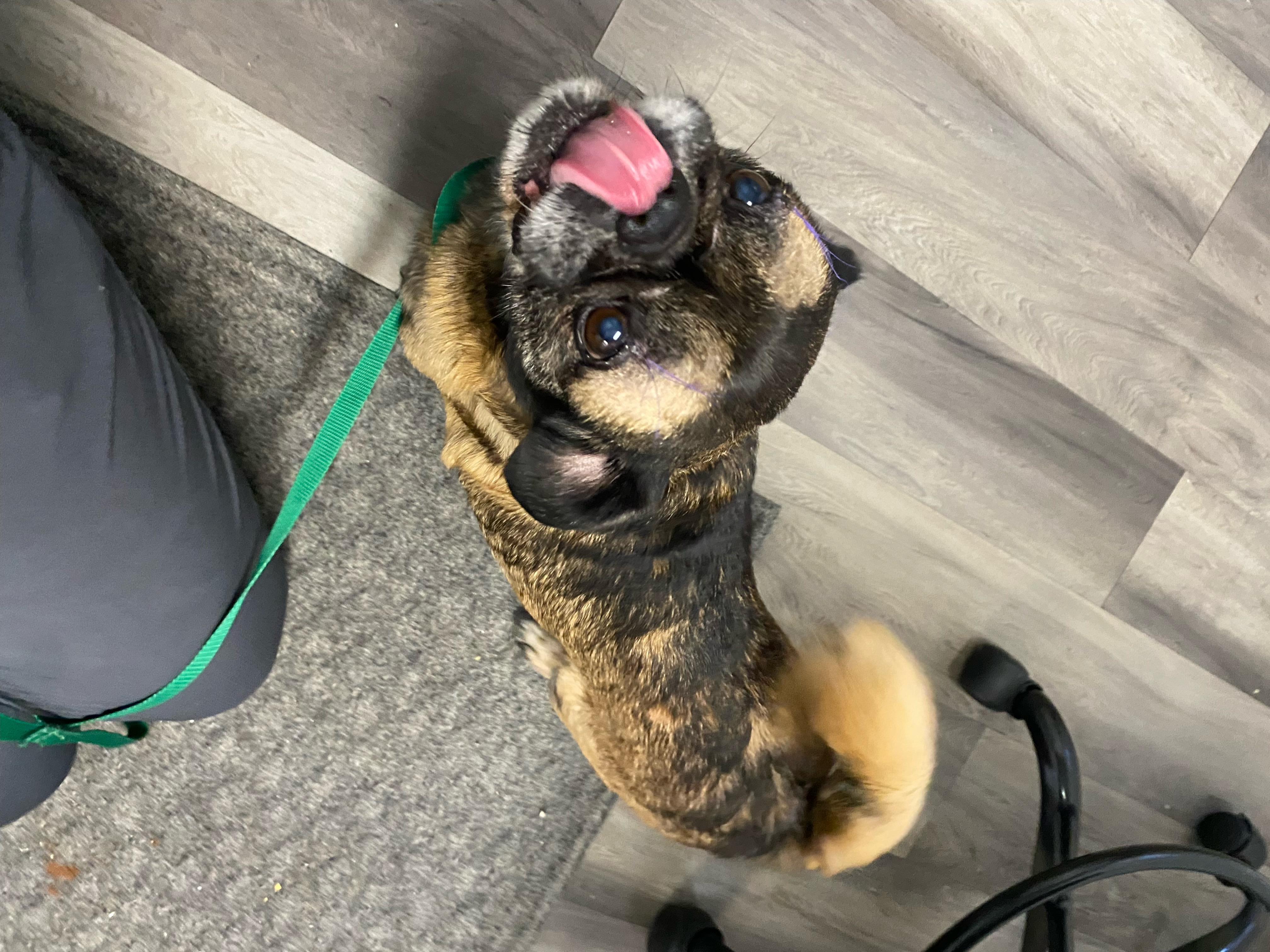 Max photo 6