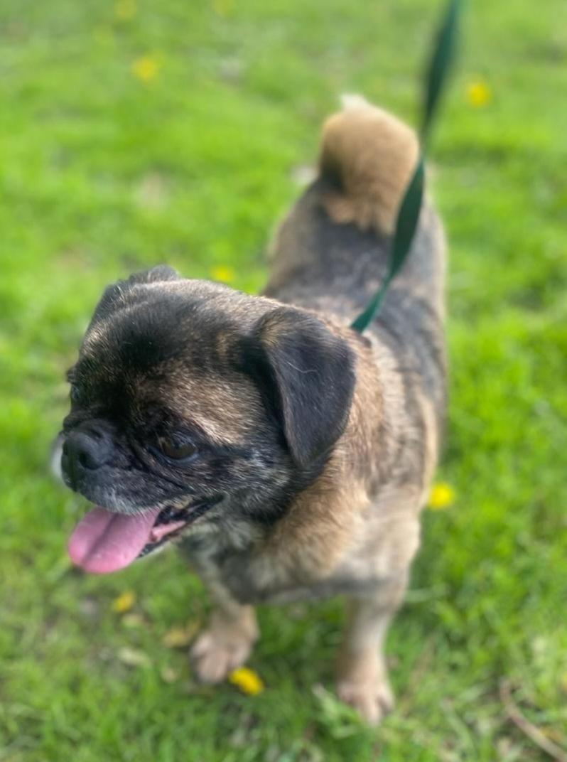 Max photo 4