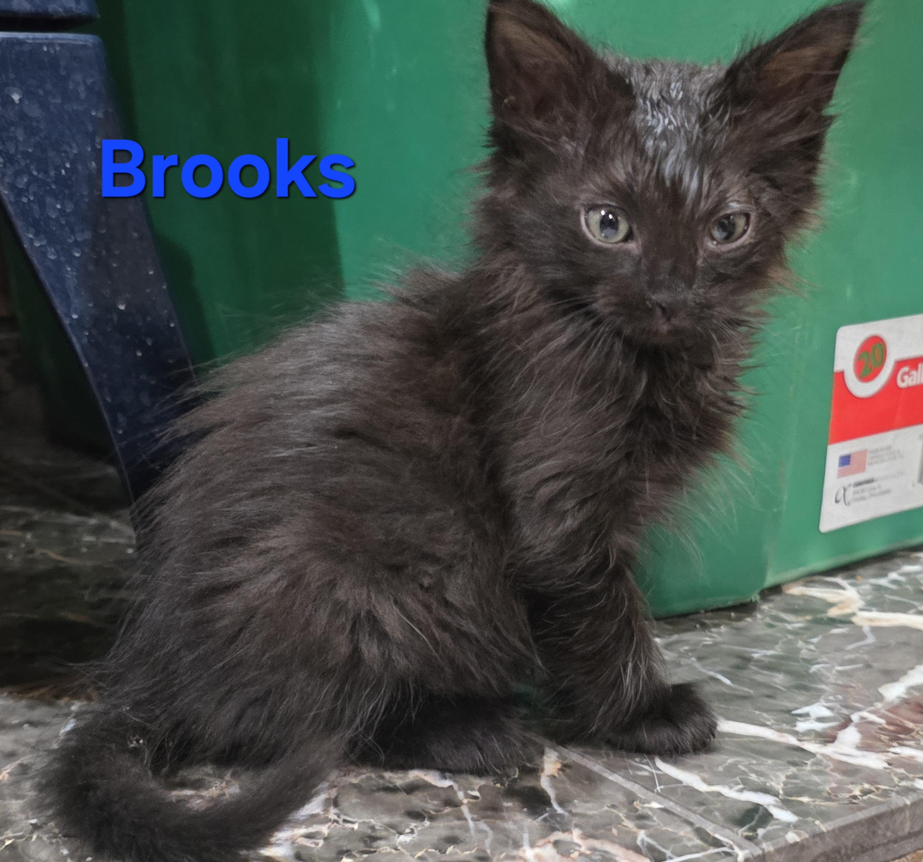 Brooks