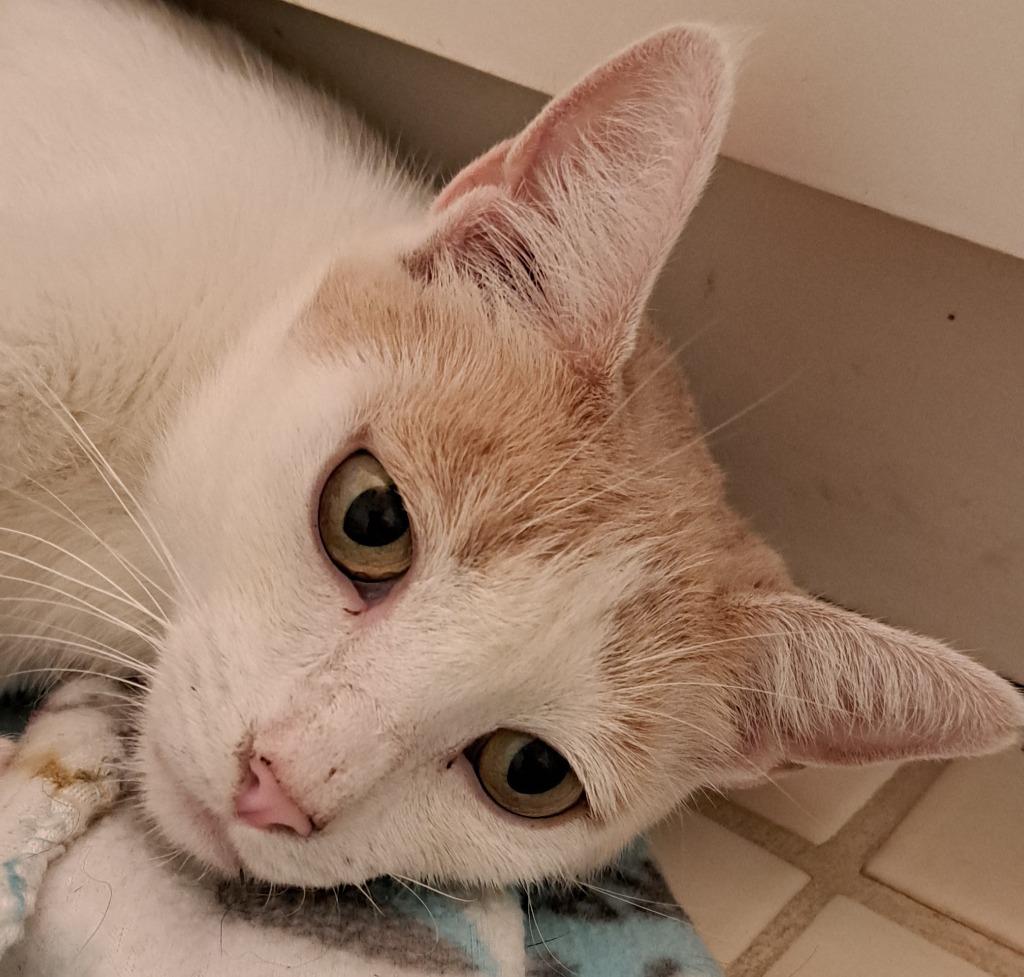 Lily — thumbnail 5