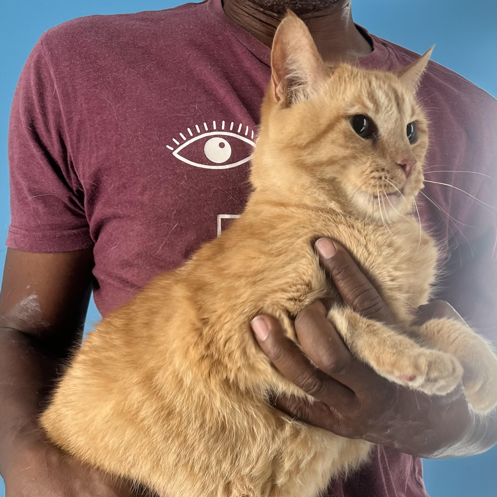 Jelly Roll  Local thumbnail 5