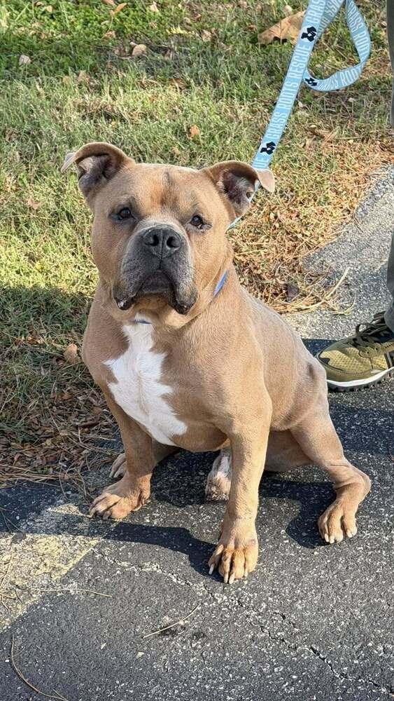 Dude Love thumbnail 2