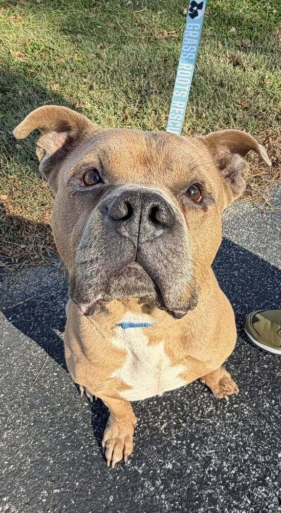 Dude Love thumbnail 5