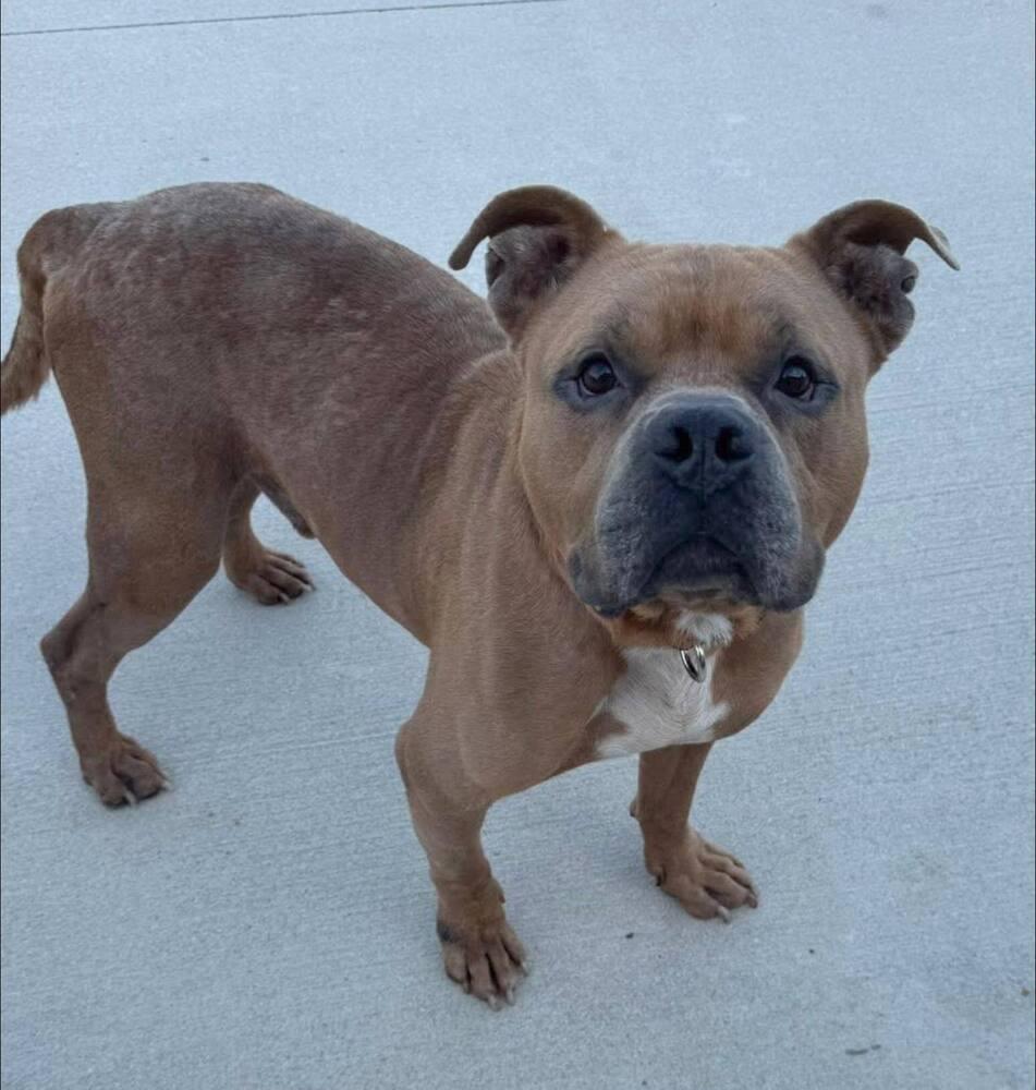 Dude Love thumbnail 6