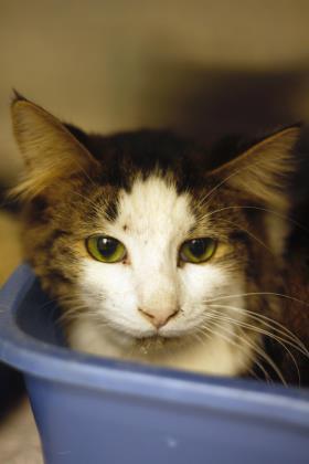 Elanor, Senior Female unknown