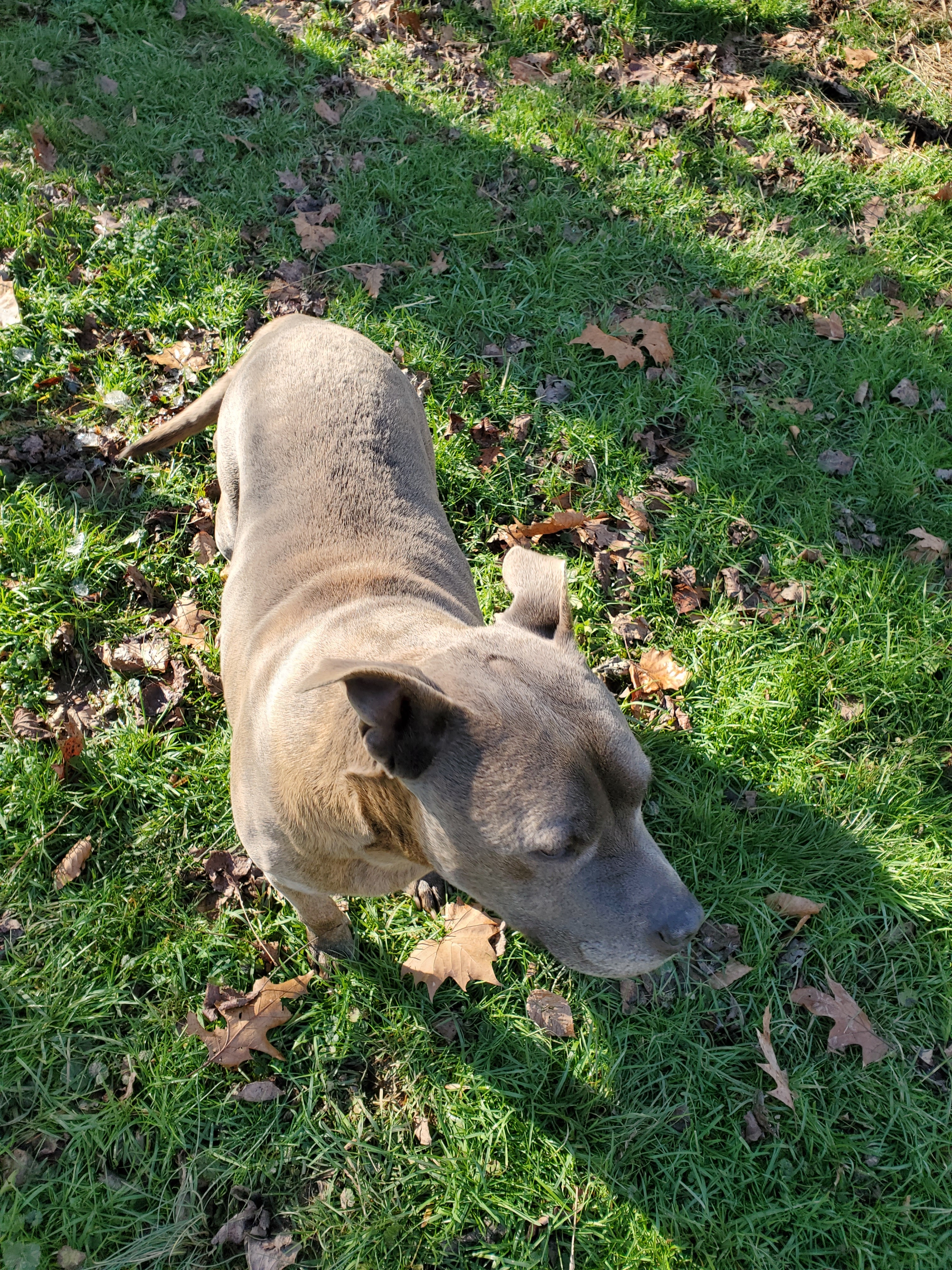 Gunther photo 3