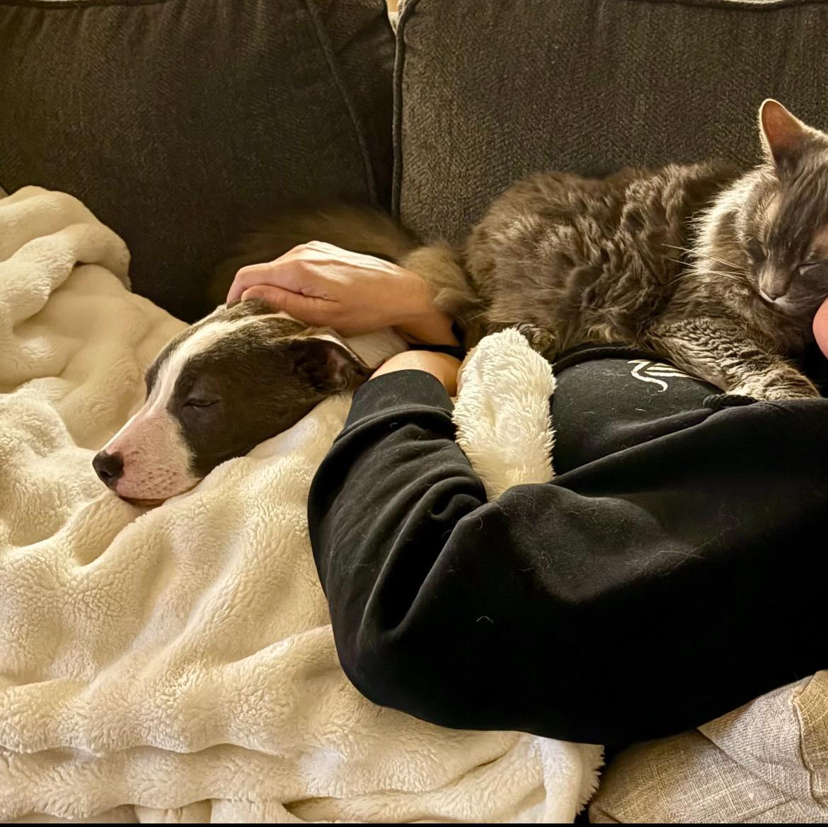 Millie — thumbnail 4