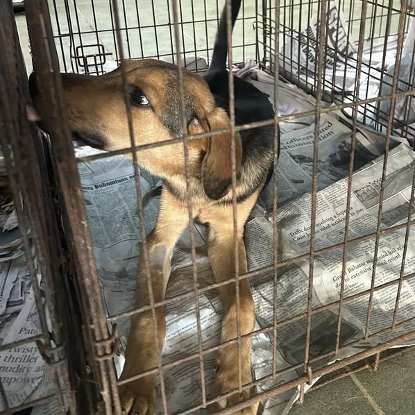 Reeces (20260201-04) — thumbnail 4