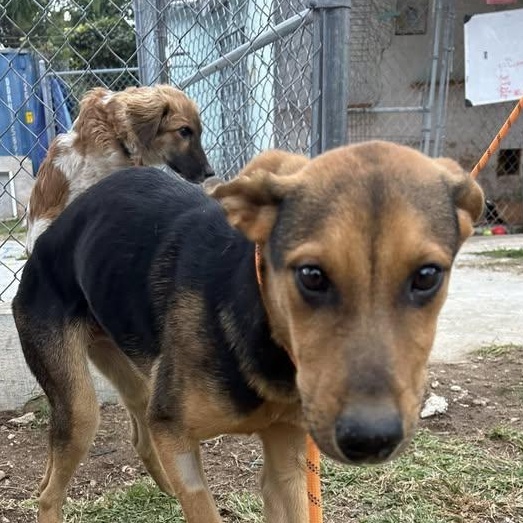 Reeces (20260201-04) — thumbnail 5